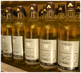 焼酎01